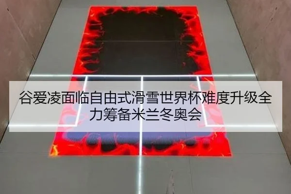 gu-ai-ling-mian-lin-zi-you-shi-hua-xue-shi-jie-bei-nan-du-sheng-ji-quan-li-chou-bei-mi-lan-dong-ao-hui-1-447.jpg